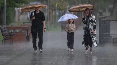 2026 Su Yılı Yağış Rekoru: En Çok Yağmur Alan Bölgeler ve Uyarılar