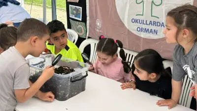 267 okul 'Orman Bayrağı' sertifikası aldı: İstanbul ilk sırada