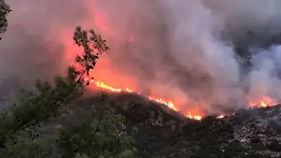Antalya Kaş'ta Orman Yangını: Ekipler Havadan ve Karadan Müdahale Ediyor