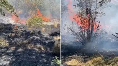 Bitlis'te mezarlık çevresinde yangın: Yerleşim yerlerine sıçramadan söndürüldü