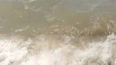 Bodrum'da deniz kirliliği soruşturması: 3 suçtan inceleme
