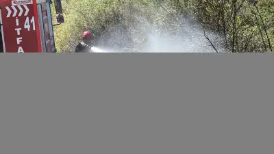 Düzce'de Otluk Alana Atılan Şişeler Yangın Çıkardı: 5 Dönüm Küle Döndü