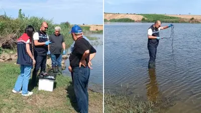Edirne'de balık ölümleri: Gölette inceleme başlatıldı