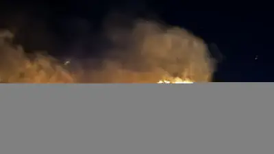 Elazığ'da Bahçelik Alanda Yangın: 25 Dönüm Zarar Gördü