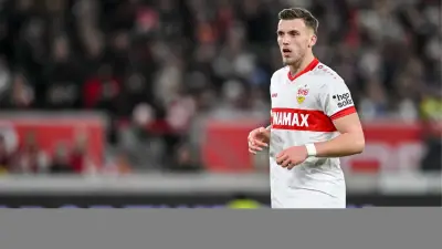 Fenerbahçe'ye sürpriz golcü: Ermedin Demirovic!