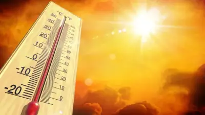 Güney Kore'de 122 yılın sıcaklık rekoru: 38,8 derece