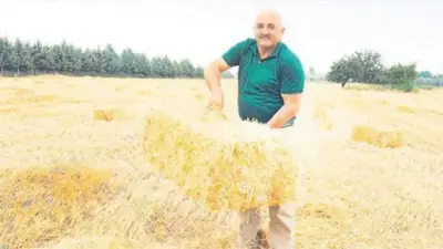 Hicabi Bitik: Bir Canımız Vardı, Bir de Samanımız, Bugün Olsa Yine Yakarım