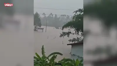 Çin'de sel felaketi: Çiftlikten 900 yılan kaçtı