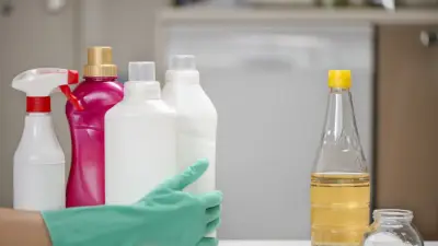 Kapı Girişlerine Sirke Sıkma Yöntemi Uzmanlarca Onaylandı