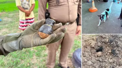 Köpek Eve Canlı El Bombası Getirdi: Aile Saatlerce Kemik Sandı