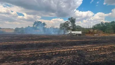 Kırklareli'nde Anız Yangını: 80 Dekar Tarım Arazisi Zarar Gördü