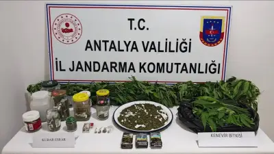 Manavgat'ta Uyuşturucu Operasyonu: 2 Kilo Kubar Esrar ve 130 Kök Kenevir Ele Geçirildi, 2 Tutuklu