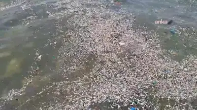 Marmaris Bördübet kıyısında deniz plastik atıklarla kaplandı