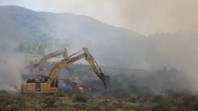 Meteoroloji'den Muğla'ya Orman Yangını Riski Uyarısı: Sıcak ve Rüzgarlı Hava Tehlikesi