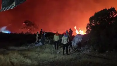 Milas'ta orman yangını: 1120 kişi tahliye edildi, söndürme çalışmaları sürüyor