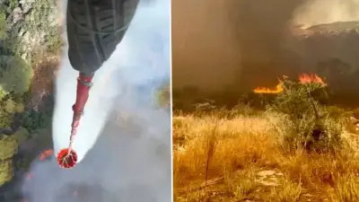 Muğla Kavaklıdere'de Orman Yangını: Havadan ve Karadan Müdahale Sürüyor