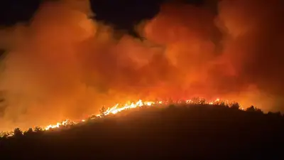Muğla Milas'taki Orman Yangını 2. Günde: 1120 Kişi Tahliye Edildi