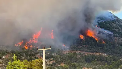 Muğla'da Orman Yangını: İnlice Mahallesi Tedbir Amaçlı Boşaltıldı