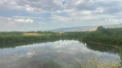 Muş'ta balık avlarken suya düşen 2 kuzen boğularak hayatını kaybetti
