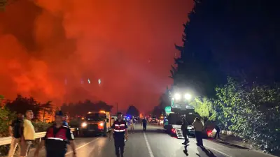 Orman yangınlarıyla mücadele: Alanya, Fethiye, Seydikemer