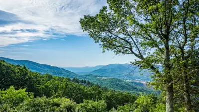 Roanoke Kolonisi'nin 100 Kayıp Sakinine Dair Yeni İpuçları Bulundu