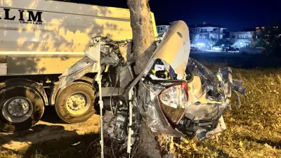 Sakarya'da ağaca çarpan otomobil ikiye bölündü
