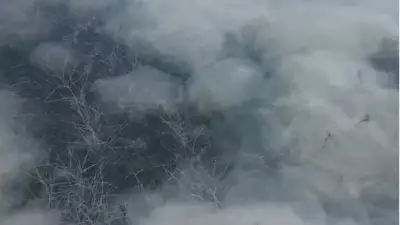 Sapanca Gölü'ndeki pamuksu madde için inceleme başlatıldı