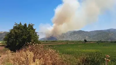 Söke'de zirai alanda çıkan yangına havadan ve karadan müdahale sürüyor