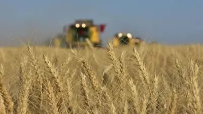 Tarım ÜFE haziranda aylık yüzde 9,02 azaldı, yıllık yüzde 9,55 arttı