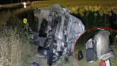 Tekirdağ'da feci kaza: Otomobil ayçiçeği tarlasına devrildi, 5 yaralı