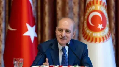 Terörsüz Türkiye hedefinde yasal süreç aşaması: Nebi Miş yazdı