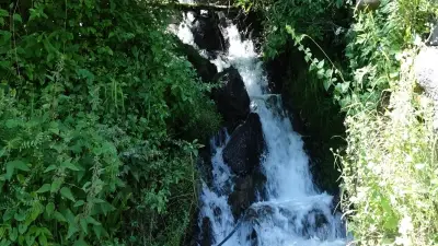 Trabzon'da 300 yıldır kurumayan kaynak: Saniyede 120 litre akıyor