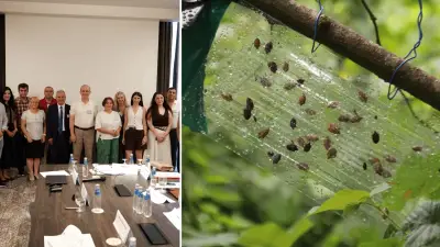 Trabzon'da istilacı türler için üç ülke ortak proje başlattı