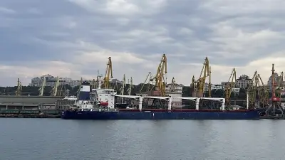 Ukrayna'nın Karadeniz'deki Üç Ana Limanında Ticari Gemi Trafiği Tamamen Durdu