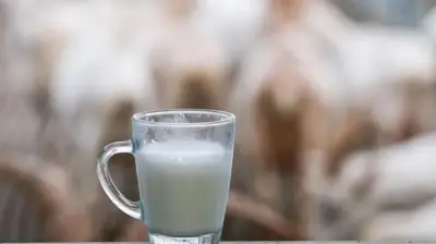 USK çiğ süt fiyatını sabit tuttu: Litre başına 24,30 TL
