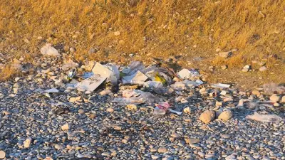 Van'ın Mavi Bayraklı Plajı Çöp Dağlarıyla Tepki Çekiyor