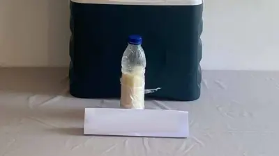 Yalova'da 500 gram akrep zehri ele geçirildi: 5 milyon dolar değerinde