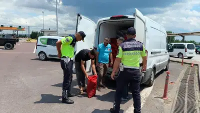 Yalova'da Osman Gazi Köprüsü'nde 3 Ton Kaçak Kara Midyesi Ele Geçirildi