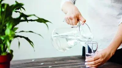 Yazın Sadece Su İçmek Yetmeyebilir: Mineral Dengesi Şart