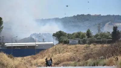 İzmir Buca'da otluk alandan ormana sıçrayan yangın: Ekipler seferber oldu