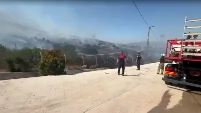 İzmir Torbalı'da orman yangını: Fabrikalar tahliye edildi
