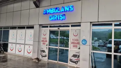 Zonguldak'ta eşek arısı sokması: Aysel Y.'nin hayati tehlikesi sürüyor