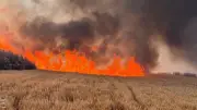 17 ilde 11 bin dekar tarım arazisi yandı, üreticilerden uyarı