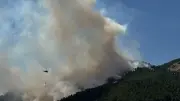 4 Kentte Orman Yangını: Adıyaman, Balıkesir, İzmir ve Diyarbakır'da Alevlerle Mücadele