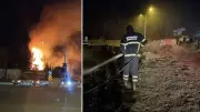 Adıyaman'da Ağaçlık Alanda Yangın: Kaplumbağa Kurtarıldı