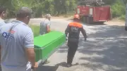 Alanya'da kamyonet ağaca çarptı: Sürücü hayatını kaybetti, yolcu ağır yaralı