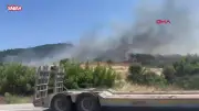 Çanakkale Ayvacık'ta Orman Yangını: Havadan ve Karadan Müdahale Sürüyor