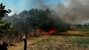 Çanakkale Ayvacık'ta ot yangını 1 saatte kontrol altına alındı