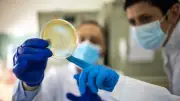 Antibiyotik Direncine Karşı Yeni Umut: Bakterilerin Koruyucu Kalkanı İçeriden Çökertildi