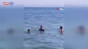Şarköy'de Denize Girenlerin Arasına Yavru Yunus Daldı